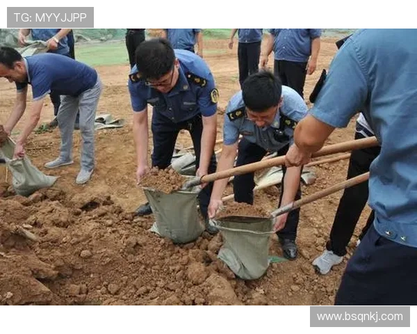 标准列日防线稳定，展示提升区域安全与合作的新机遇分析