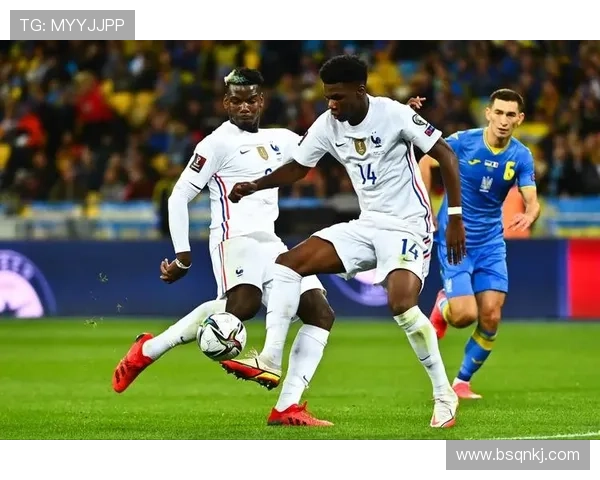 楚阿梅尼对抗能力