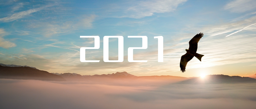 乘“峰”而上，智“盈”未来 ——2021年江南JNSport体育环境高级资深副总裁新年开工动员